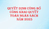 Quyết định công bố công khai quyết toán ngân sách năm 2025 trường THPT Ngô Văn Cấn